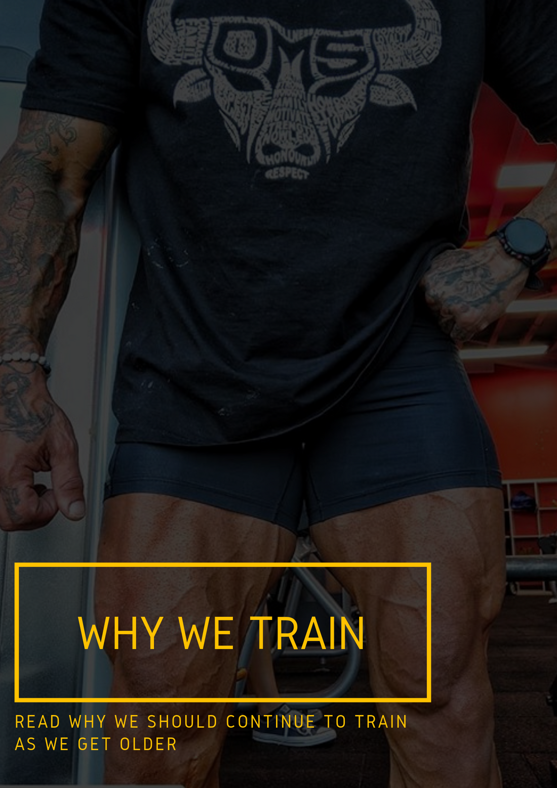 Why We Train.